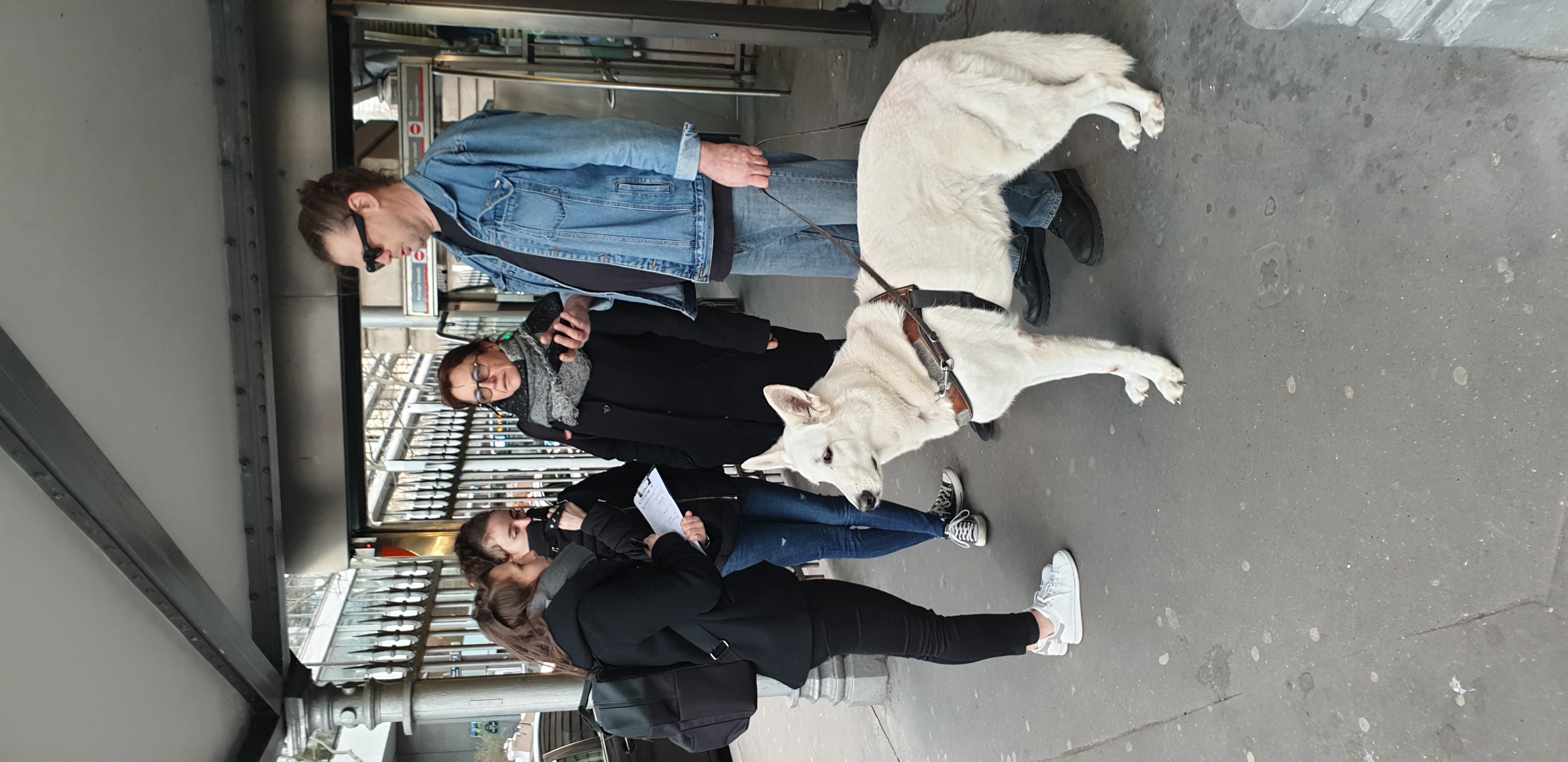 Les tests utilisateurs : un outil très impactant pour assurer la qualité de vos produits et services Pistache design UX UI france 